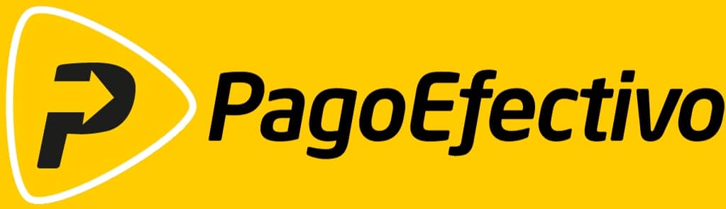 vista de pago efectivo